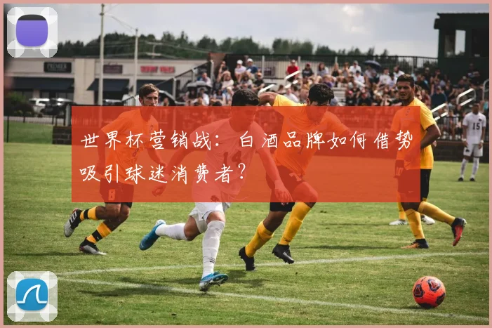 世界杯营销战：白酒品牌如何借势吸引球迷消费者？
