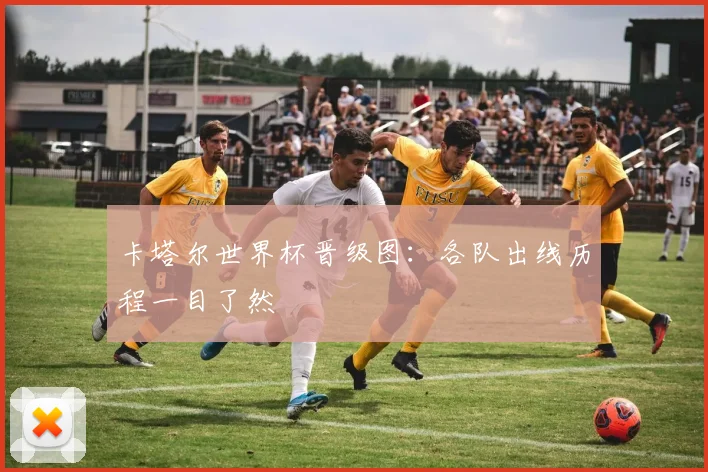 卡塔尔世界杯晋级图:各队出线历程一目了然