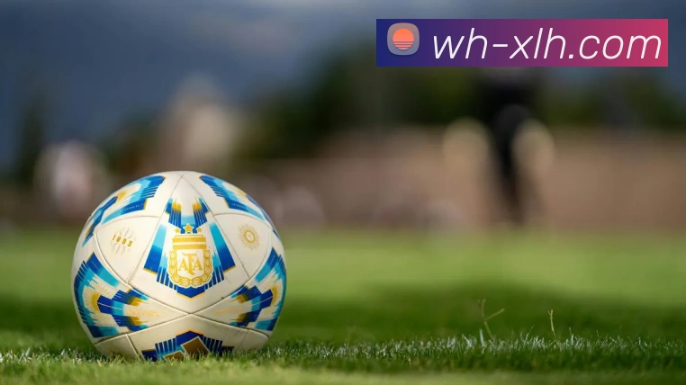 App Interface Preview